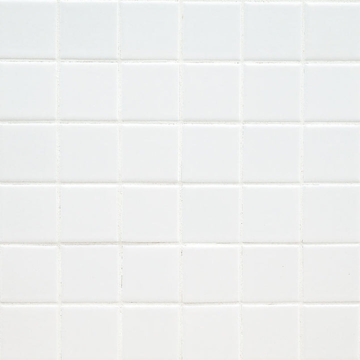 Top-down view of WHITE 2X2 MATTE in PORCELAIN MOSAIC with a MATTE finish, emphasizing its surface details and WHITE hues.