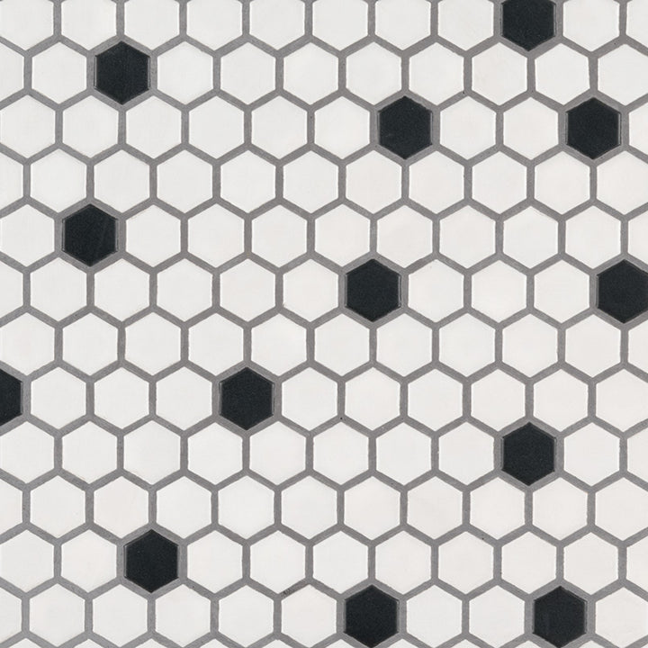 Top-down view of BLACK AND WHITE 1" HEXAGON MATTE in PORCELAIN MOSAIC with a MATTE finish, featuring the BLACK & WHITE shades and surface characteristics.