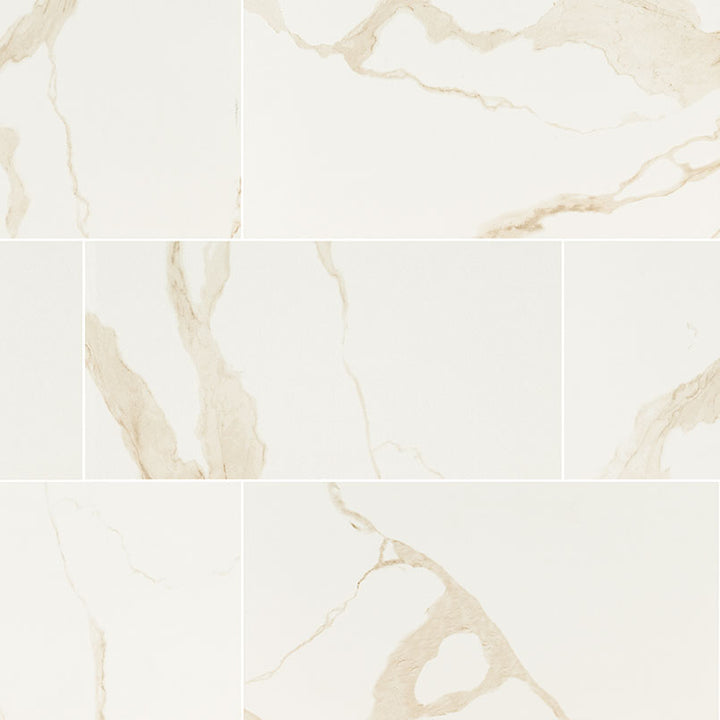 Eden Porcelain Field Tile 12X24 Calacatta Matte