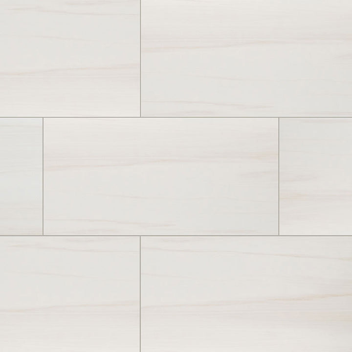 Top-down view of EDEN DOLOMITE 12X24 MATTE in PORCELAIN TILE with a MATTE finish, showcasing the DOLOMITE tones and intricate surface pattern.