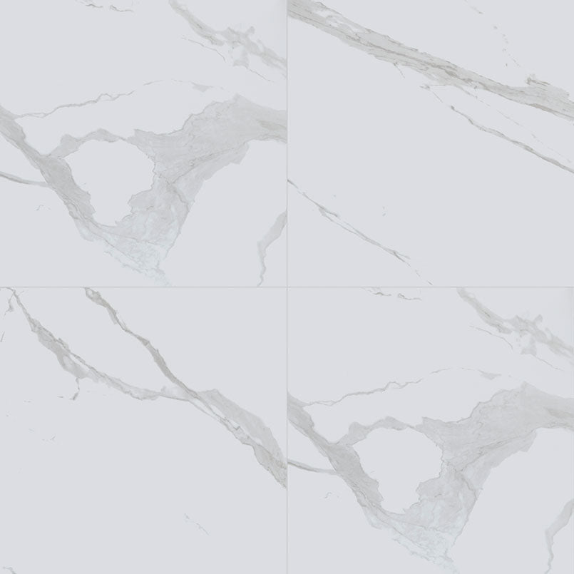 Top-down view of EDEN STATUARY 24X24 POLISHED in PORCELAIN TILE with a POLISHED finish, emphasizing its surface details and STATUARY hues.