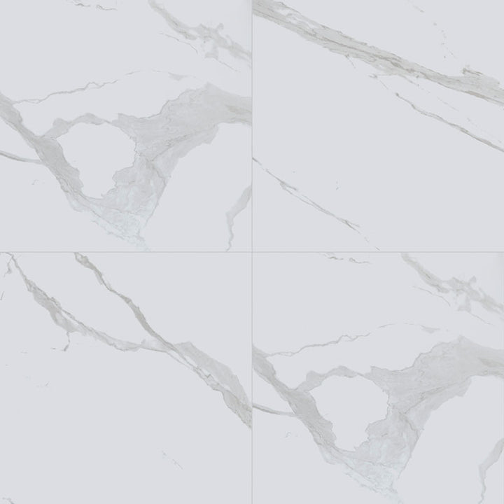 Top-down view of EDEN STATUARY 24X24 POLISHED in PORCELAIN TILE with a POLISHED finish, emphasizing its surface details and STATUARY hues.