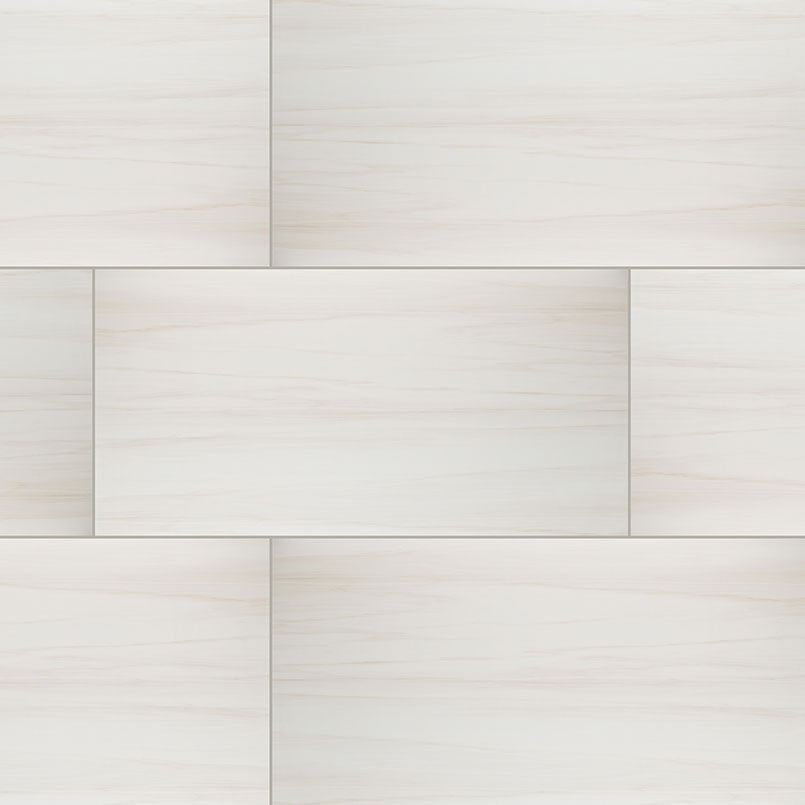 Top-down view of EDEN DOLOMITE 24X48 MATTE in PORCELAIN TILE with a MATTE finish, featuring the DOLOMITE shades and surface characteristics.