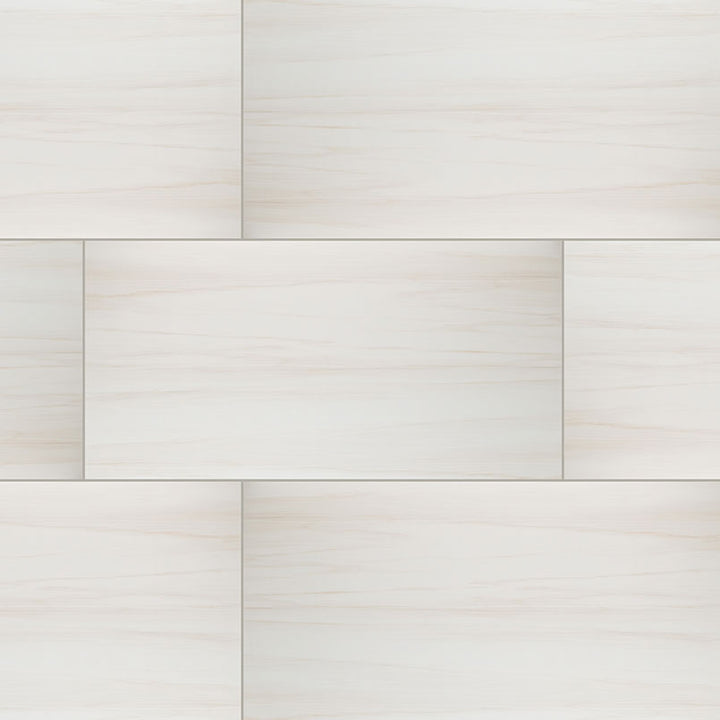 Top-down view of EDEN DOLOMITE 24X48 MATTE in PORCELAIN TILE with a MATTE finish, featuring the DOLOMITE shades and surface characteristics.