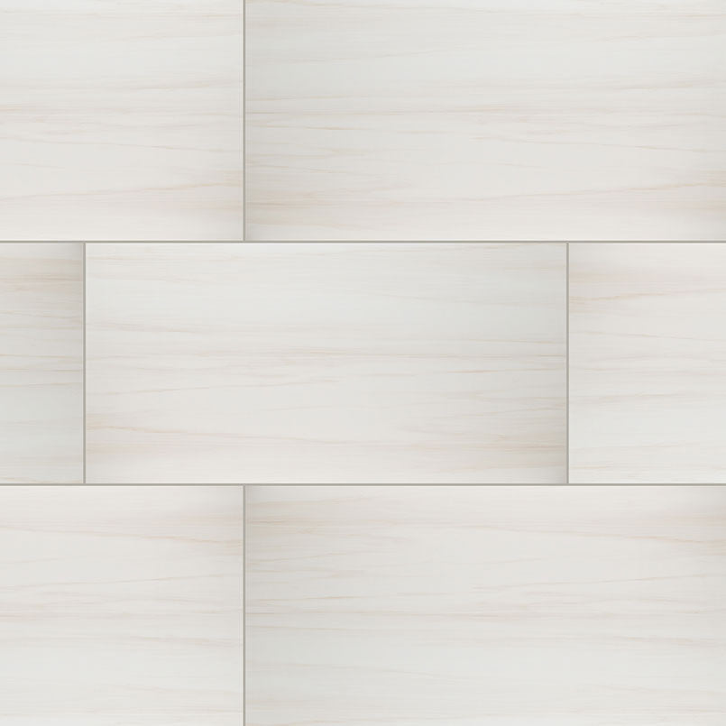 Top-down view of EDEN DOLOMITE 24X48 POLISHED in PORCELAIN TILE with a POLISHED finish, revealing the subtle texture and color tones.