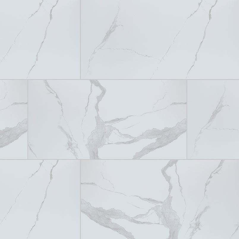 Top-down view of EDEN STATUARY 24X48 POLISHED in PORCELAIN TILE with a POLISHED finish, revealing the subtle texture and color tones.