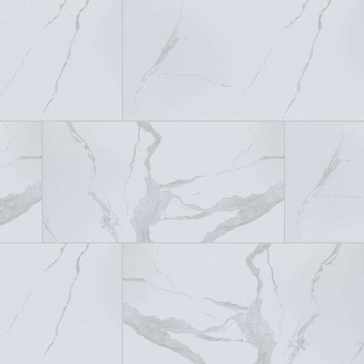 Top-down view of EDEN STATUARY 24X48 POLISHED in PORCELAIN TILE with a POLISHED finish, revealing the subtle texture and color tones.