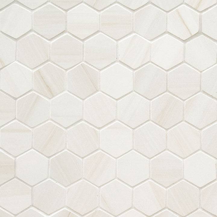 Top-down view of EDEN DOLOMITE 2X2 HEXAGON in PORCELAIN MOSAIC with a MATTE finish, displaying the unique finish and depth of DOLOMITE color.