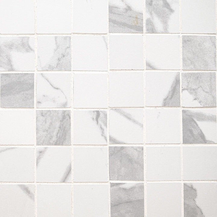 Top-down view of EDEN STATUARY 2X2 MATTE in PORCELAIN MOSAIC with a MATTE finish, displaying the unique finish and depth of STATUARY color.