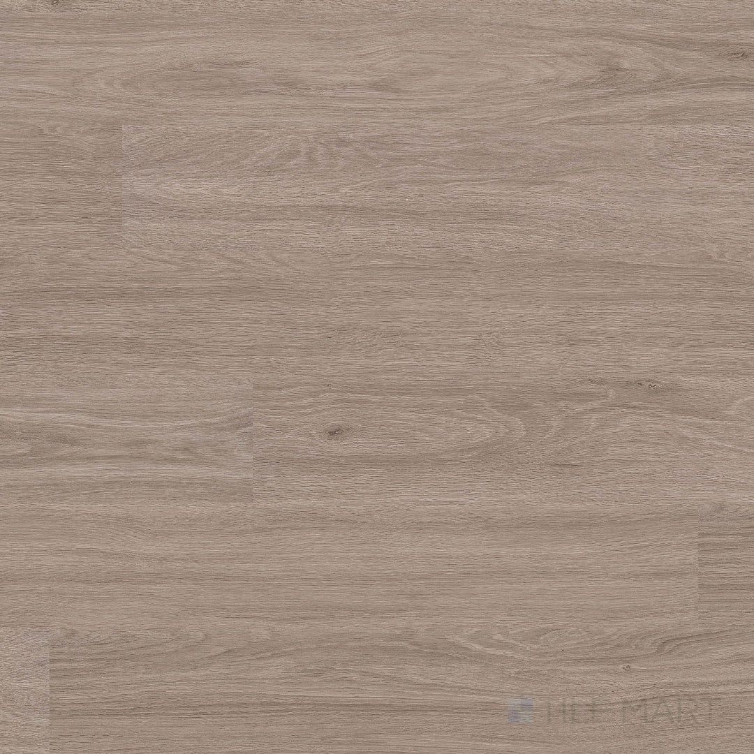 Overview of Katavia Bleached Elm 6x48 low gloss luxury vinyl plank – bright, airy wood tones ideal for light-filled interiors.