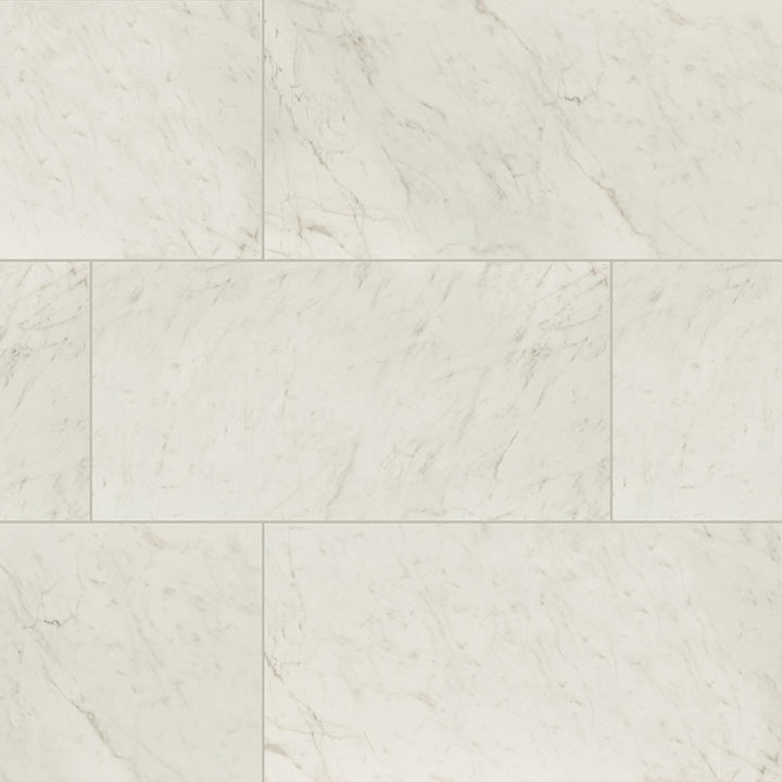 Top-down view of KAYA CARRARA BIANCO 24X48 MATTE in PORCELAIN TILE with a MATTE finish, featuring the intricate surface characteristics and refined finish.
