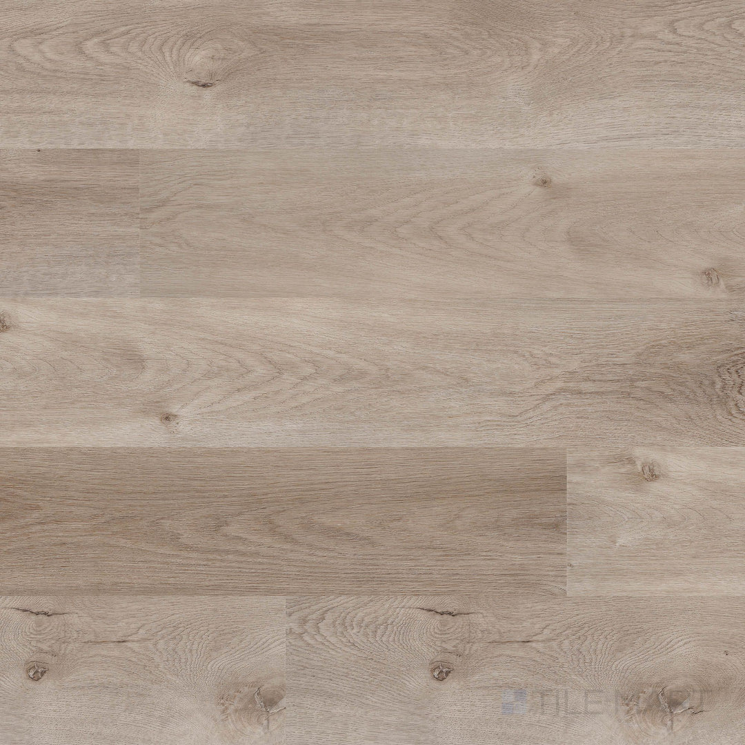 Overview of Prescott Whitfield Gray 7x48 low gloss luxury vinyl plank – soft gray wood tones with subtle modern texture.