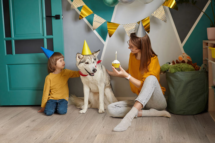 Modern setting with Smithcliffs Driftway 7X48 Low Gloss Vinyl flooring.