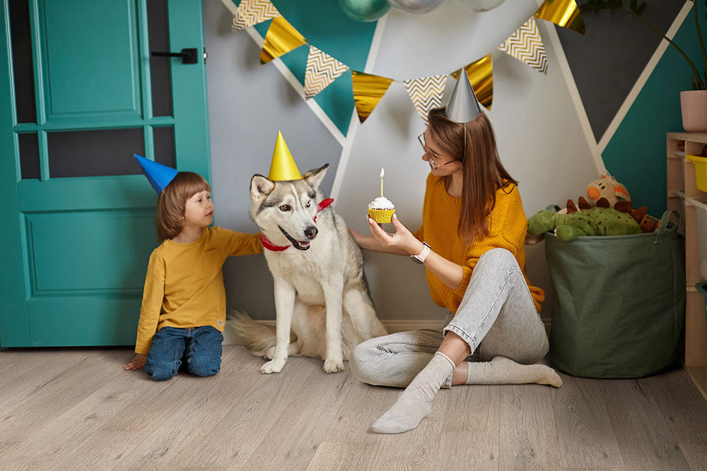 Modern setting with Smithcliffs Driftway 7X48 Low Gloss Vinyl flooring.