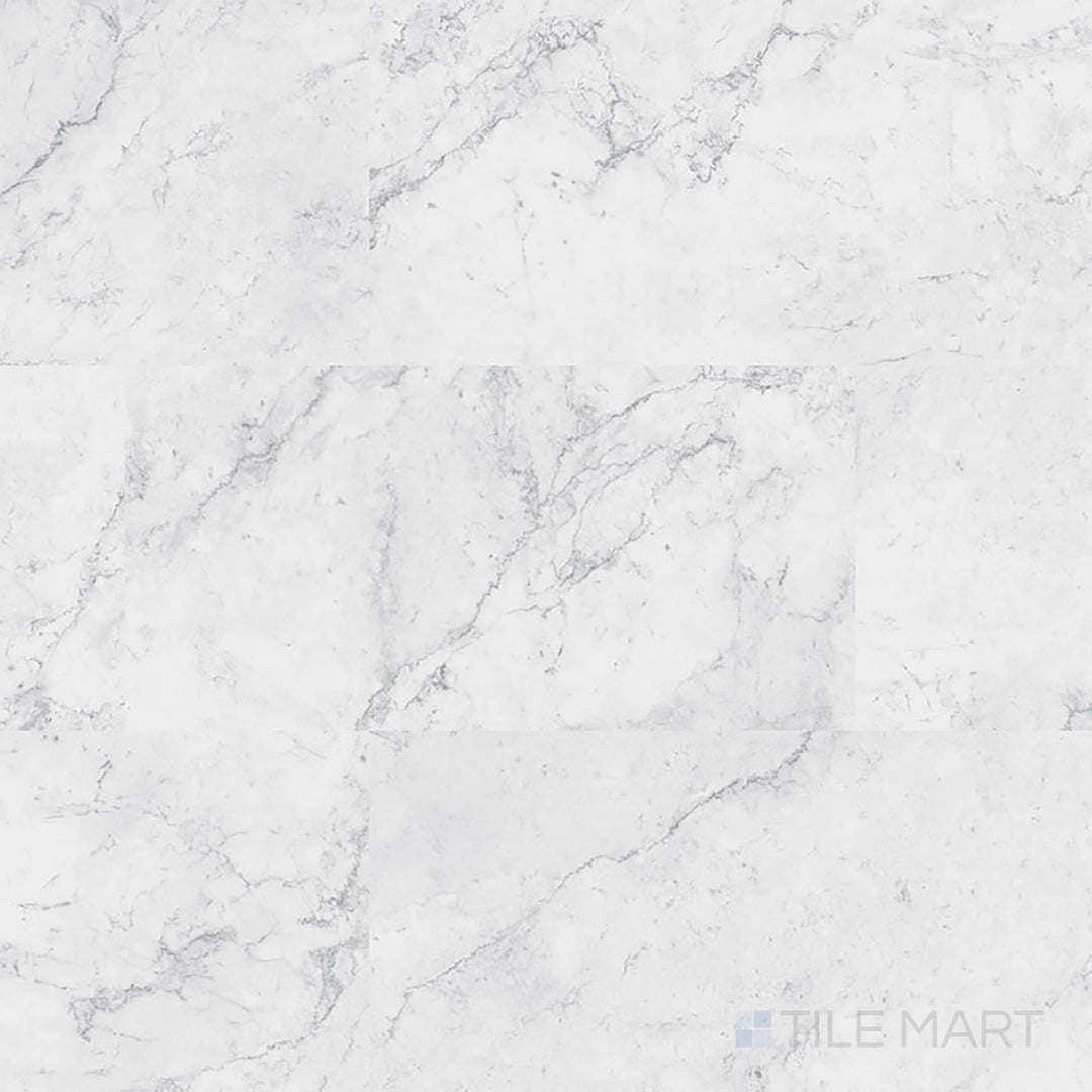 Full view of Trecento Carrara Avell 12x24 low gloss luxury vinyl plank – classic Carrara marble design with cool gray accents.