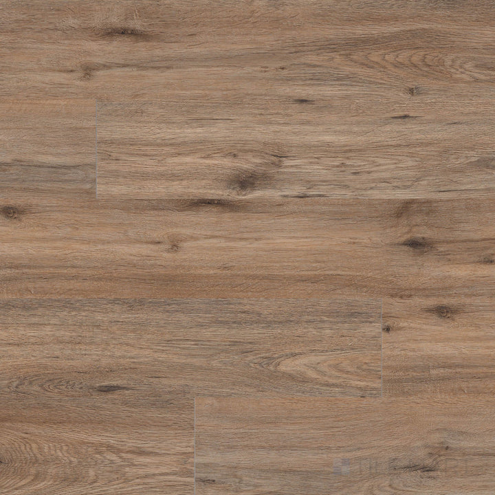 Cyrus 2.0 Fauna 7x48 low gloss luxury vinyl plank overview – mid-tone natural wood aesthetic with organic flow and grain.