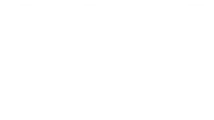 MSI Surfaces