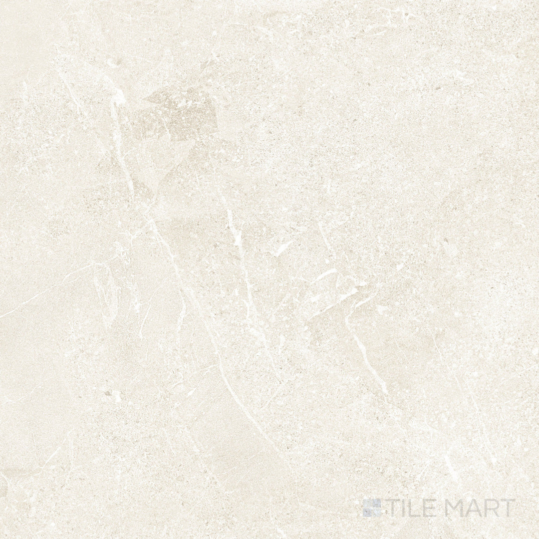 Warm gray hues and a natural matte texture define this 24x24 Arena porcelain tile.
