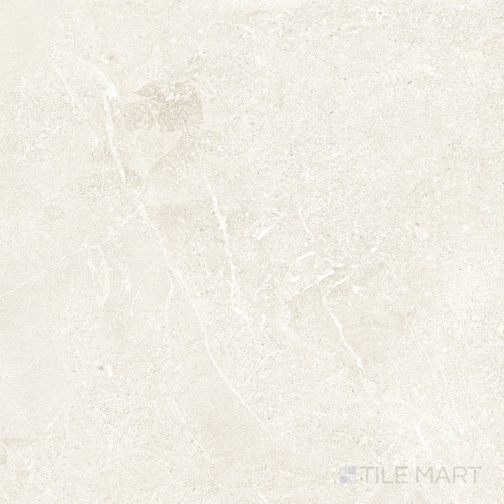 Warm gray hues and a natural matte texture define this 24x24 Arena porcelain tile.