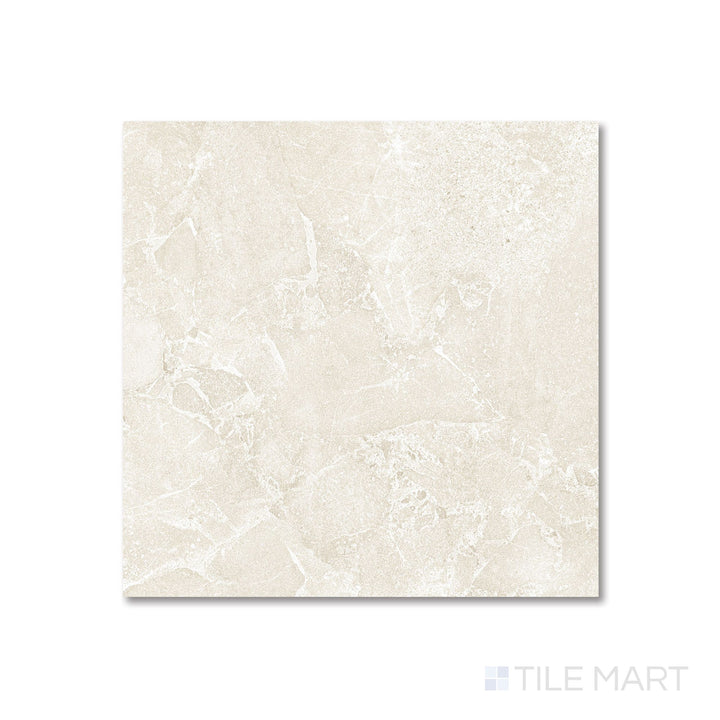 Aerial image of Avalon Arena 24x24 tile featuring even tone distribution and a fine matte texture.