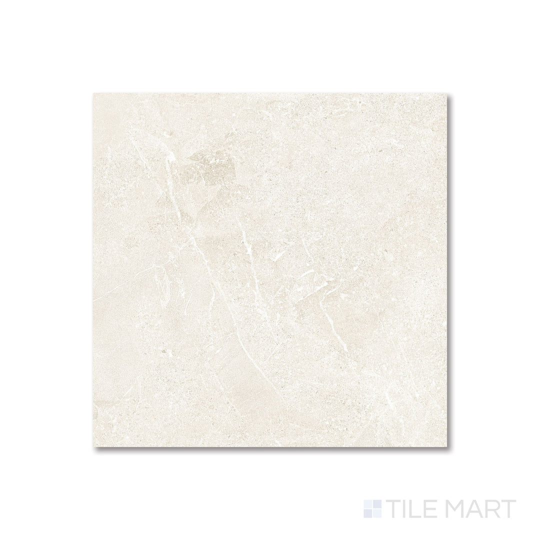 Overhead image of Avalon Arena 48x48 matte tile featuring a broad neutral gray tone and refined surface detail.