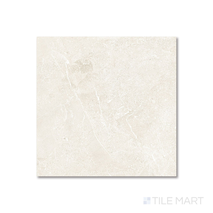 Overhead image of Avalon Arena 48x48 matte tile featuring a broad neutral gray tone and refined surface detail.