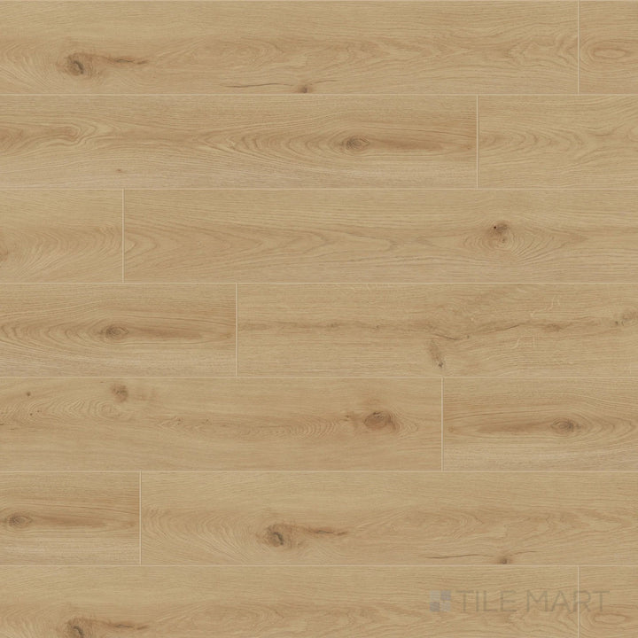 Evolved Novella 9.5X60 Matte Laminate