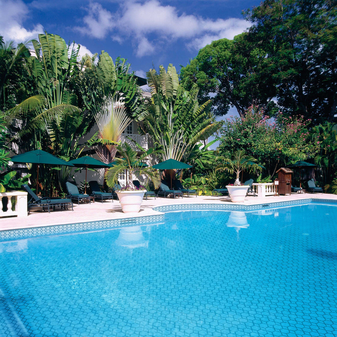 A calming blend of soft coastal tones and a matte recycled glass surface give Geometro Tulle Coastal hexagon mosaic a fresh, airy look.