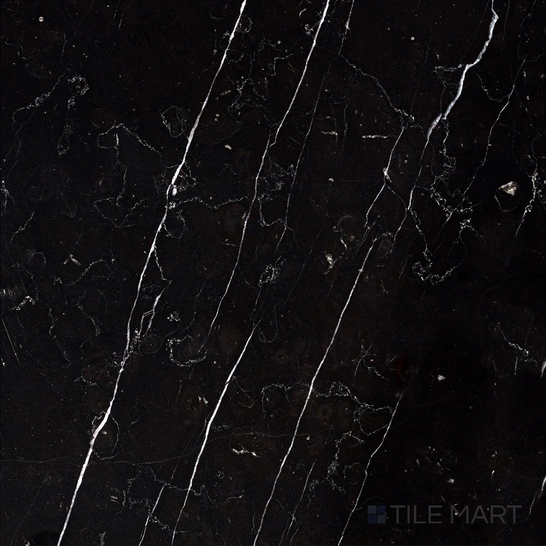 Flat-lay shot of Negro Marquina Marble 12x12 honed tile, featuring a square format with a soft honed finish for a modern aesthetic.