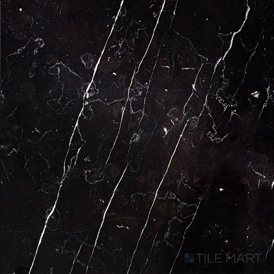 Top-down view of Negro Marquina Marble 12x12 polished tile, offering a reflective polished surface that adds elegance to the bold black and white veining.