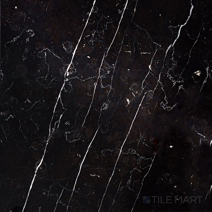 Top-down view of Negro Marquina Marble 12x12 polished tile, offering a reflective polished surface that adds elegance to the bold black and white veining.