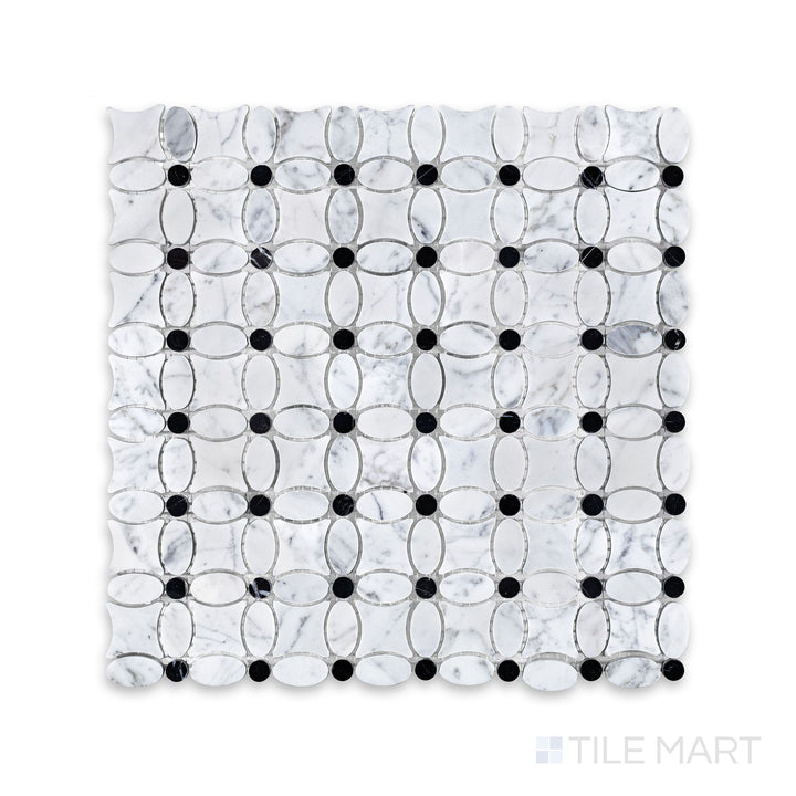 Mosaic display of White Carrara Marble flower mosaic with Negro Marquina honed accents featuring soft matte marble petals and dark center details