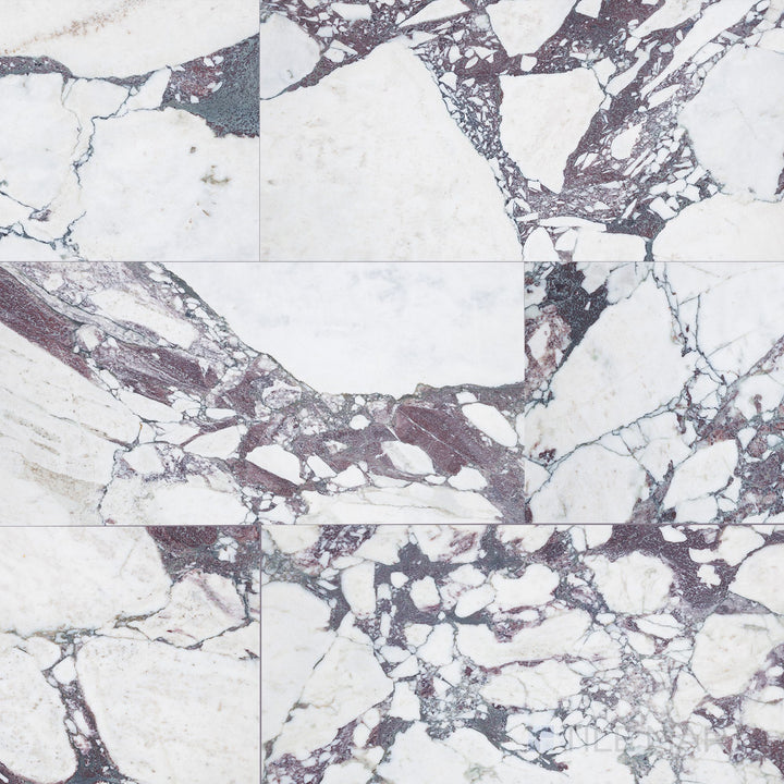 Calacatta Viola marble 12x24 honed tile shown in overview, featuring dramatic burgundy veining on a smooth, matte white surface.