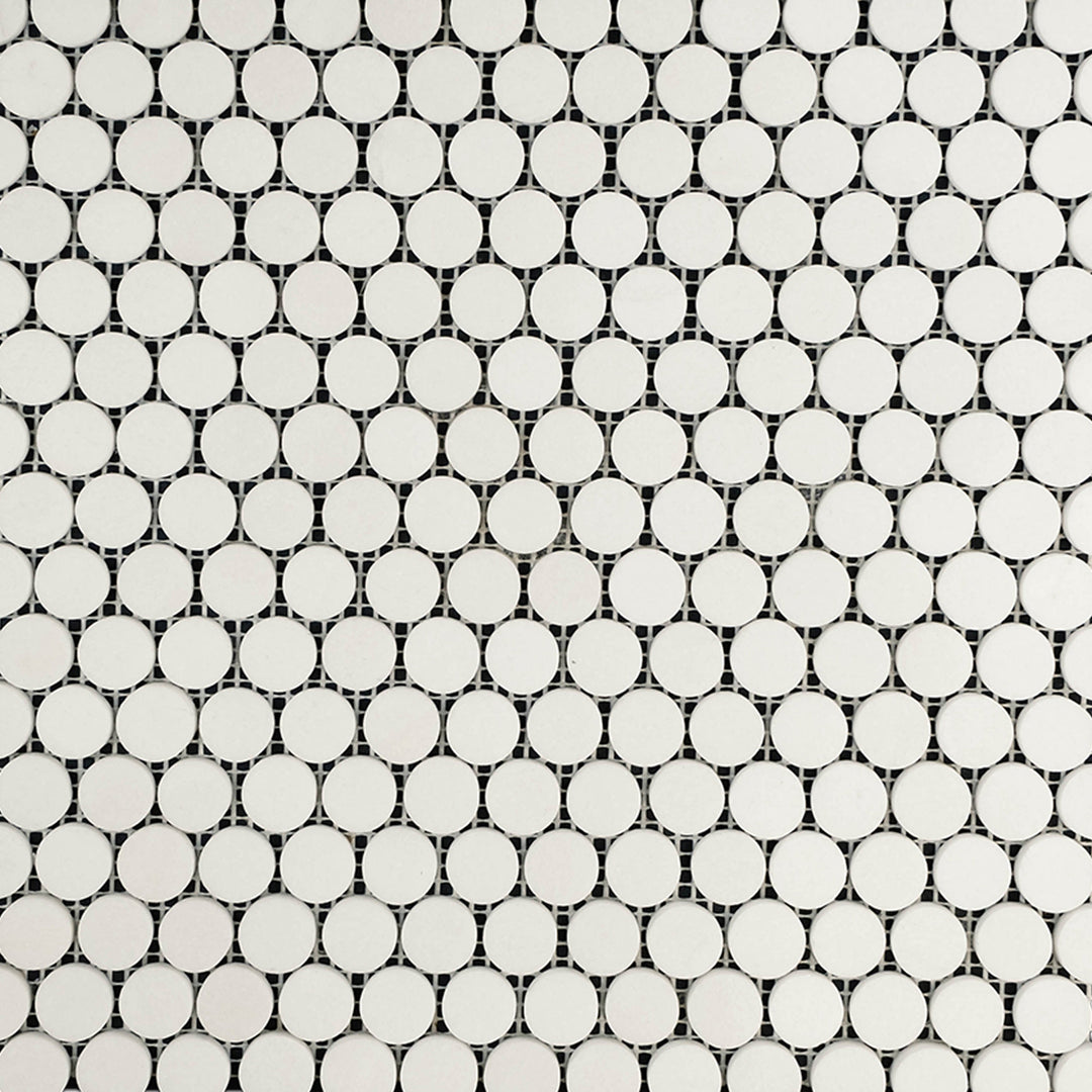 Full view of Thassos White Marble Penny Round Polished Mosaic showing glossy penny-shaped white marble tiles in a clean, grid-like layout.