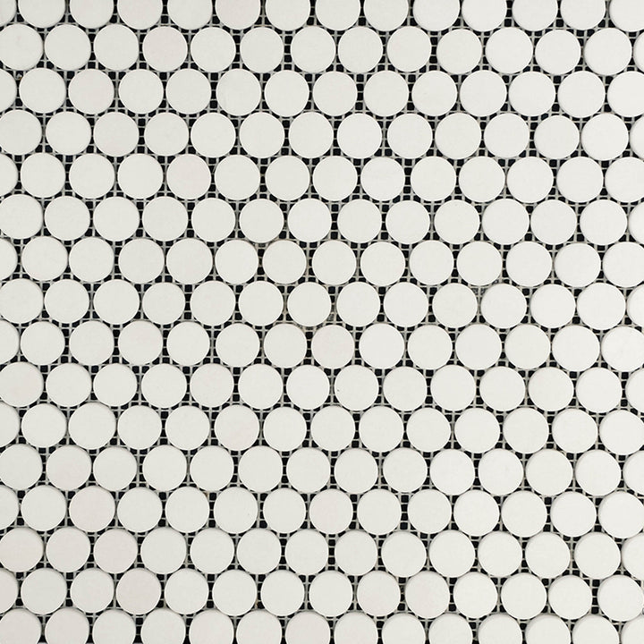 Full view of Thassos White Marble Penny Round Polished Mosaic showing glossy penny-shaped white marble tiles in a clean, grid-like layout.