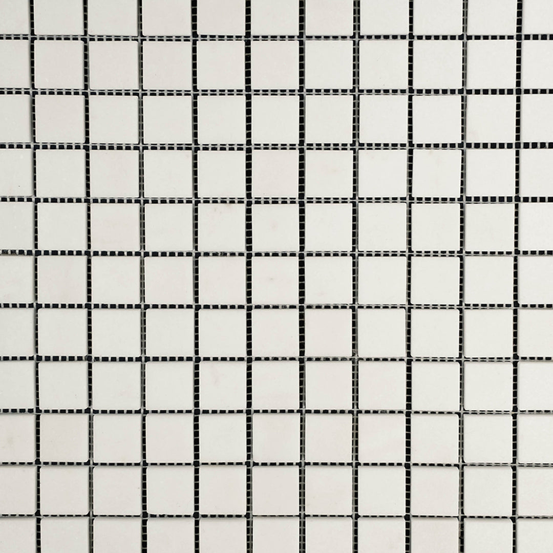 Clean view of Thassos White Marble 1