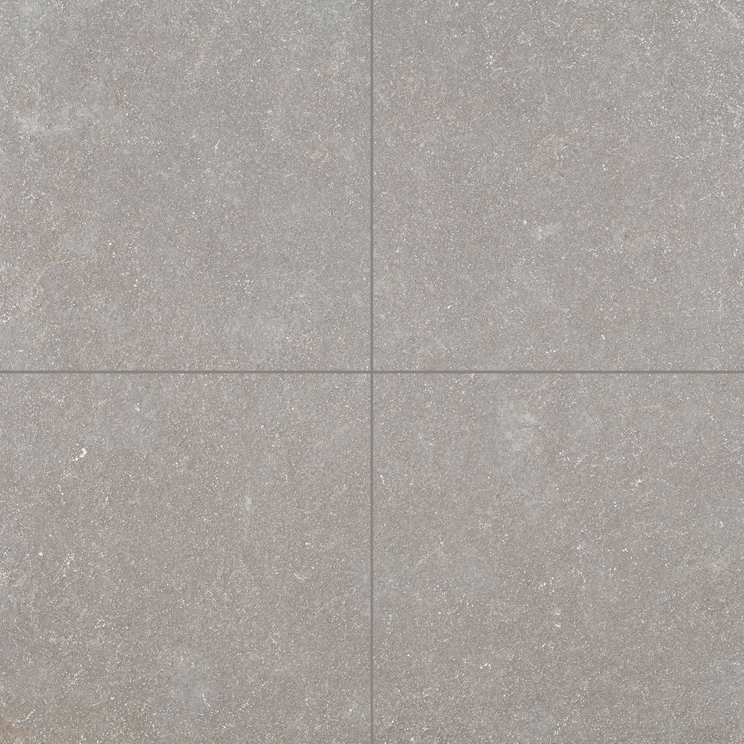 Clean view of Limestone Purbeck Grey 24x24 Distressed Paver featuring soft weathering and natural color movement in a square tile.