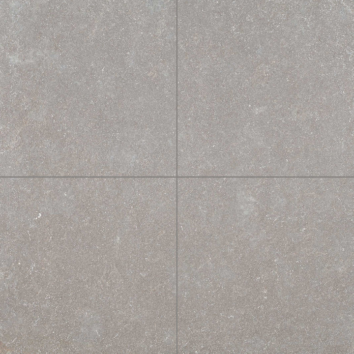 Clean view of Limestone Purbeck Grey 24x24 Distressed Paver featuring soft weathering and natural color movement in a square tile.