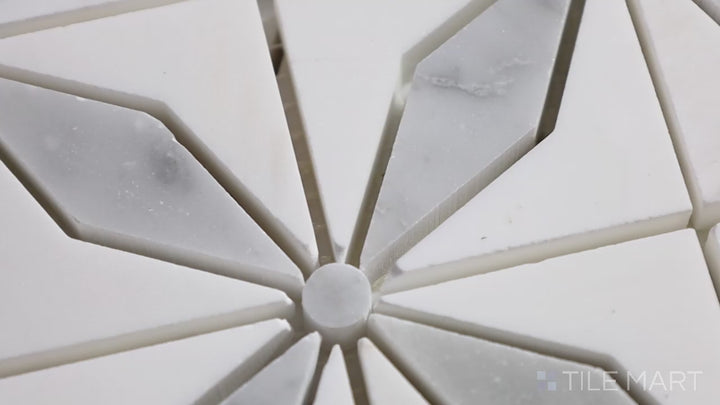 Video of Bianco Dolomite Starlite Polished Marble Mosaic. A radiant, star-inspired white marble mosaic, perfect for a dazzling, upscale look.
