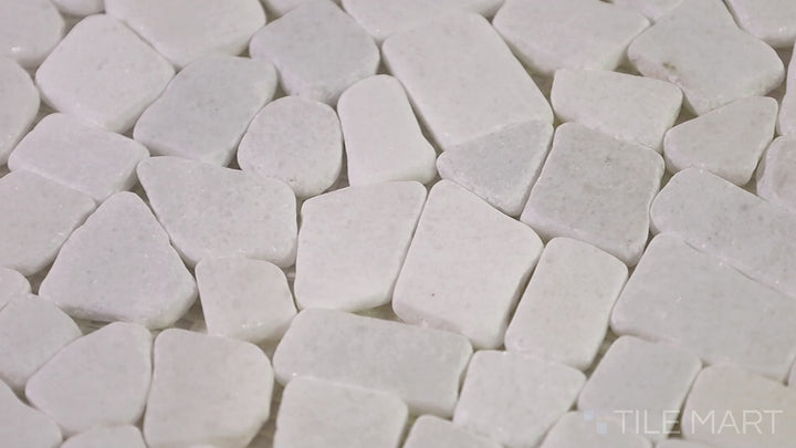 Video showcasing The Finish Line Fracture Pebble Polished Marble Mosaic. A stunning marble mosaic with intricate pebble designs, offering a textured and sophisticated aesthetic.