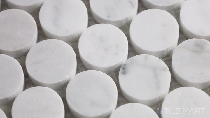 Video showcasing Bianco Dolomite Penny Round Glossy Marble Mosaic. A timeless white marble mosaic with elegant penny-round shapes and a high-gloss polished finish.