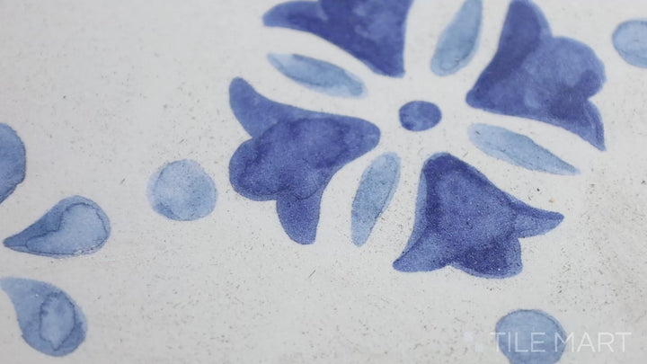 Video showcasing Mestral Garden 9X9 Matte Porcelain. A nature-inspired matte tile with intricate botanical designs, perfect for statement floors or backsplashes.