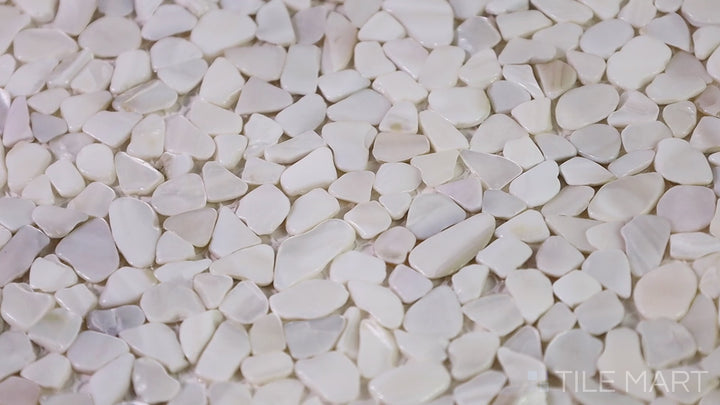 Video featuring D-Lux Pearl Slivers Glossy Shell Marble Mosaic. A delicate arrangement of pearl shell and marble slivers, offering a sleek and luminous surface for walls and accents.