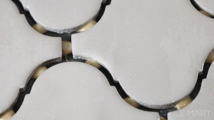 Video showcasing Mesmerist Spirit Arabesque Glossy Glazed Ceramic Mosaic. A luminous arabesque tile with a glossy sheen, creating a luxurious and timeless look.