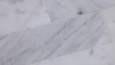 Sto-Re Culture Pattern Marble Mosaic 6X24 Carrara Polished