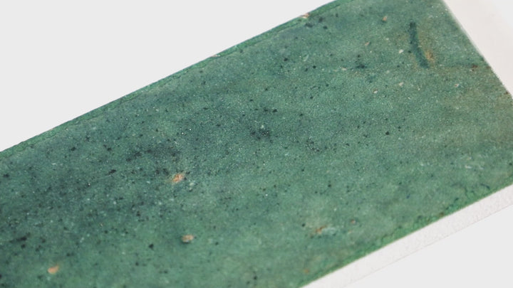 Video of Remedy Herbal 2X10 Glossy Glazed Porcelain. A nature-inspired glossy porcelain tile, adding a refreshing and organic feel to any backsplash or feature wall.