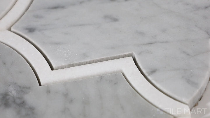 Video of Lavaliere Nero Marquina/Antique Mirror Intertwining Arabesque Polished Nero Marquina Mosaic. A rich black marble mosaic with intertwining antique mirror details for a dramatic and opulent look.