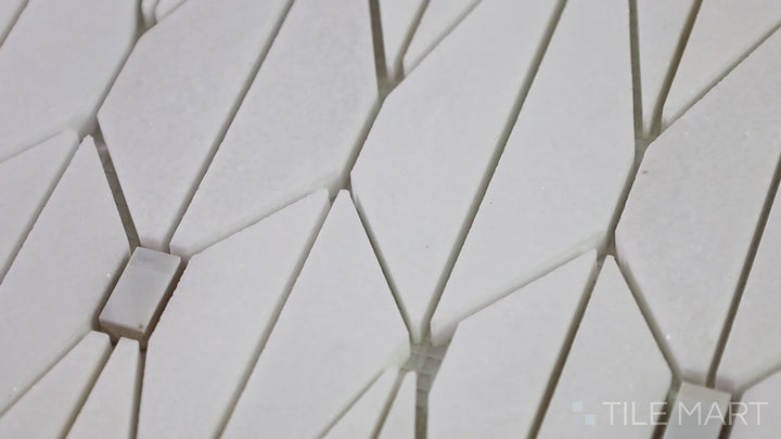 Video featuring D-Lux Pearl White Adley Polished Shell Marble Mosaic. A stunning white shell and marble mosaic with a polished finish, bringing elegance and sophistication to any space.