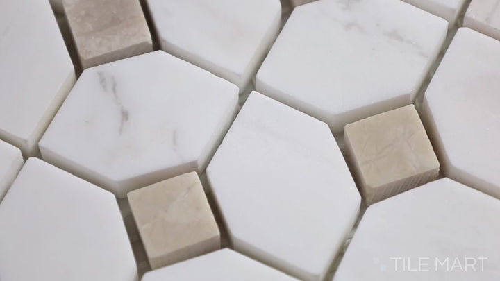 Video of Bianco Dolomite Dotty Polished Marble Mosaic. A chic, geometric mosaic with small circular patterns, crafted in polished white marble.