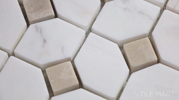 Bianco Dolomite Dotty Polished Mosaic